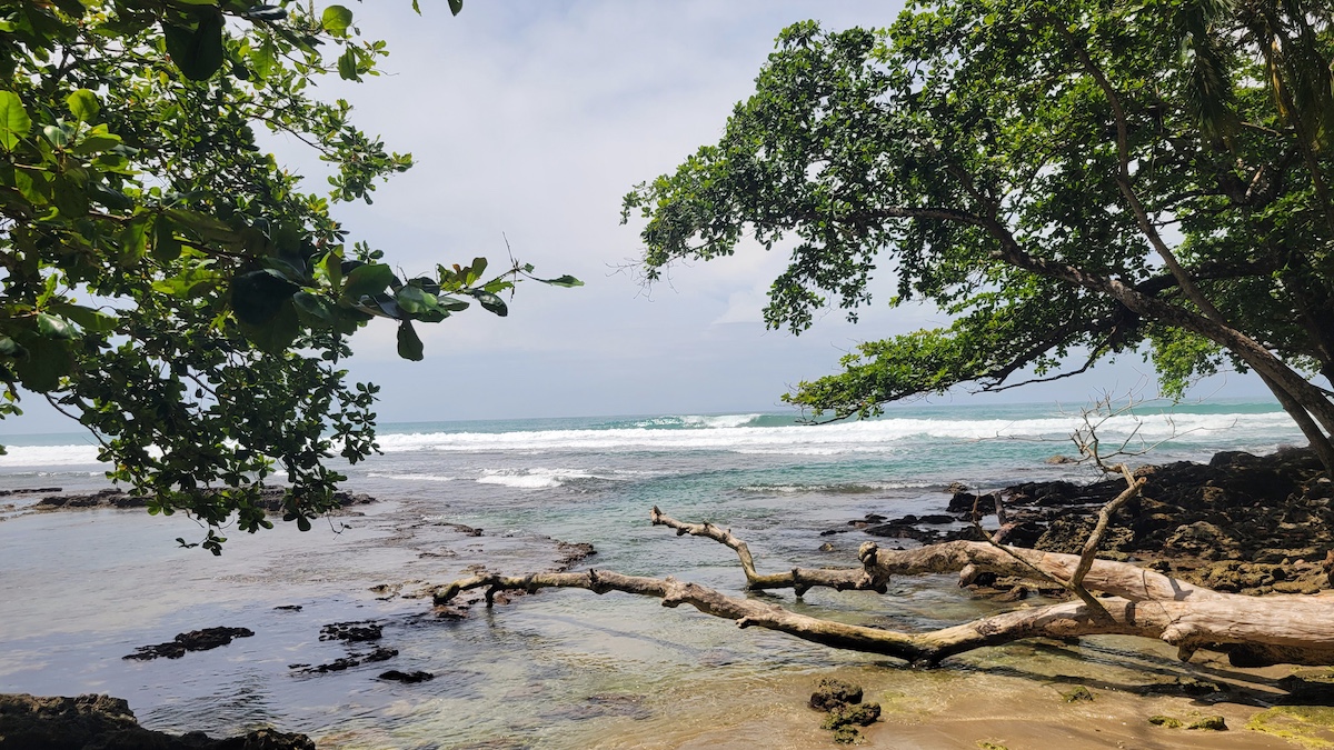 A relaxing way to learn. Una forma relajante de aprender.