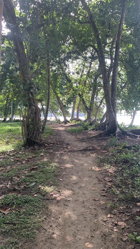 Path near the beach.